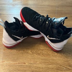 Lebron bball shoes, gently used (one season)